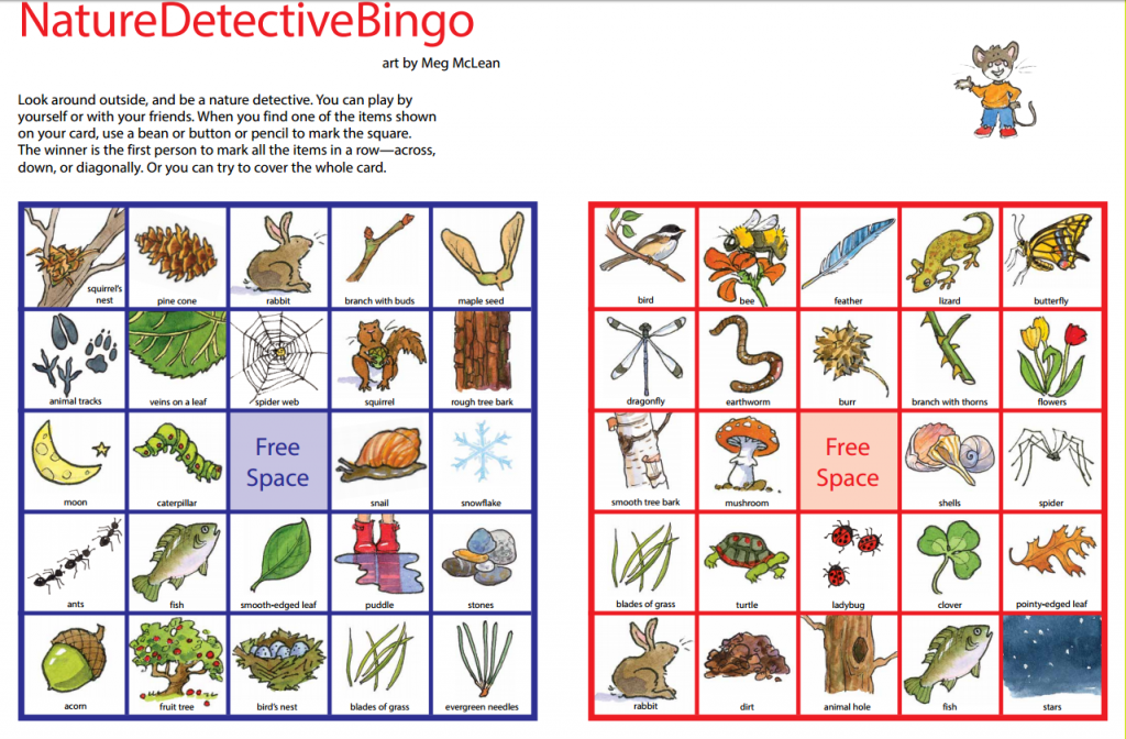 outdoor nature bingo