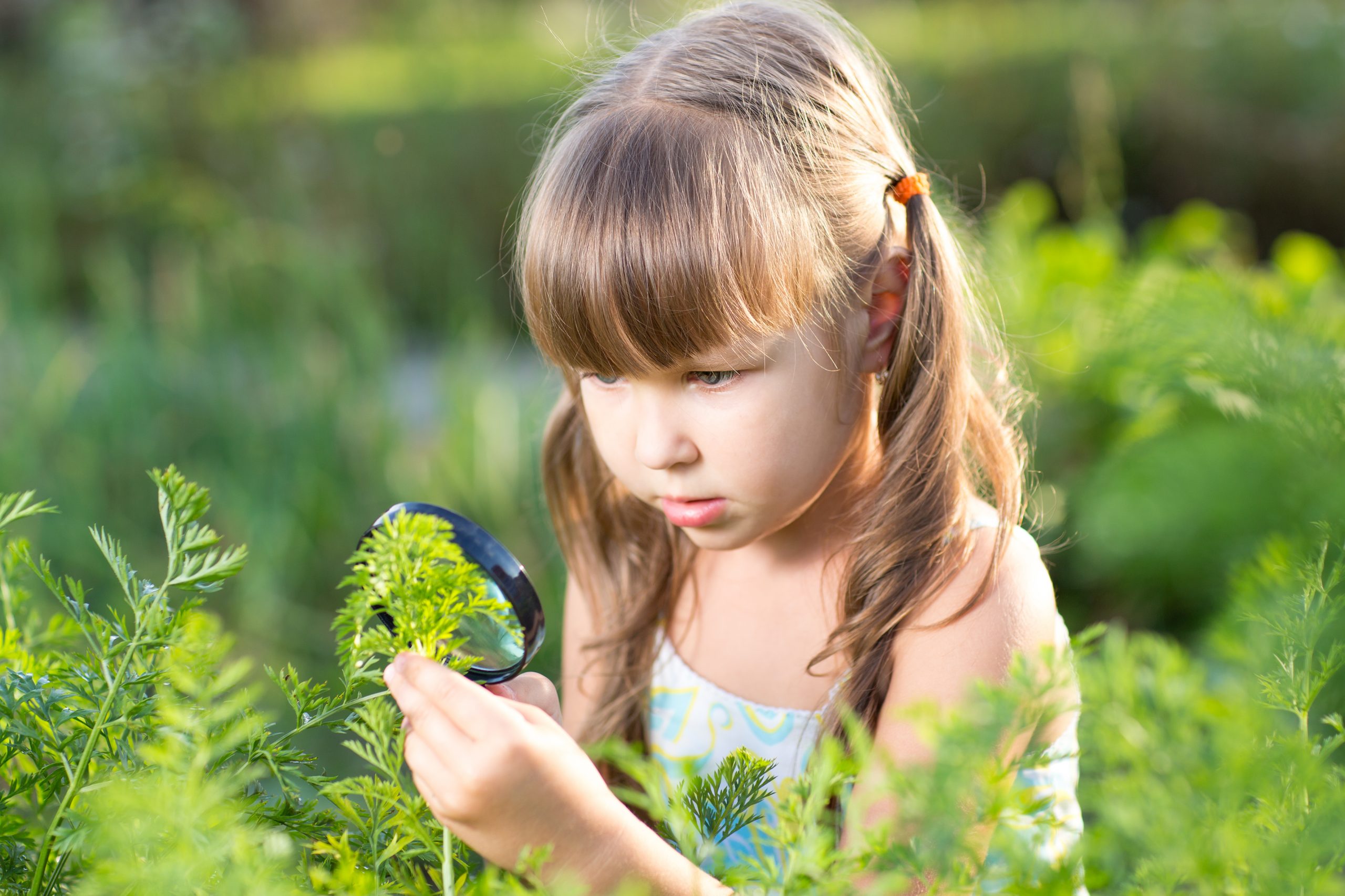 Ты любишь наблюдать за природой. Ребенок наблюдает. Ддетти наблюдают за природой. Дети наблюдают за насекомыми. Дети рассматривают цветы.