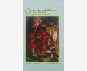 Cricket Cover