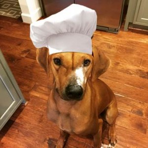 Finn likes his chef’s hat!