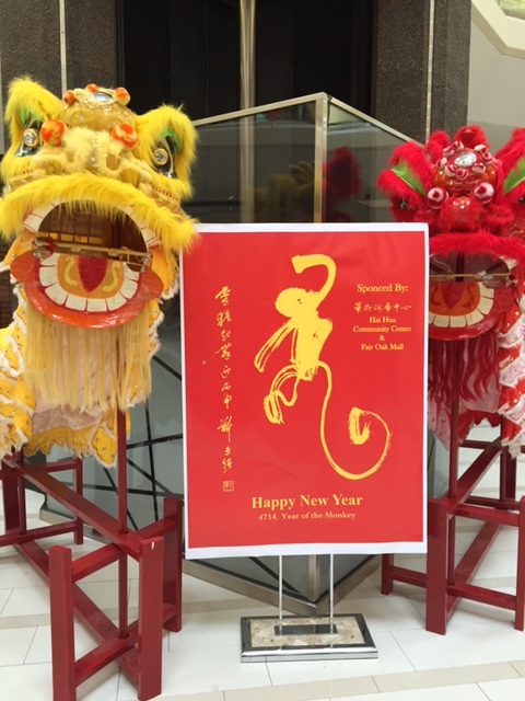 Chinese New Year 15