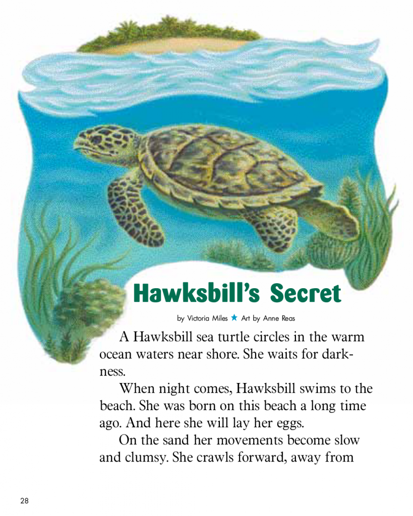 Hawksbill's Secret - Cricket Media