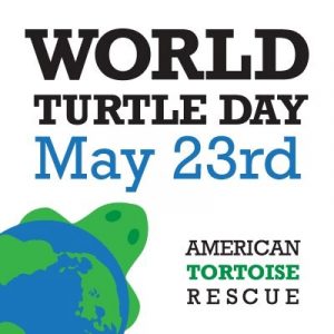 World Turtle Day 2016