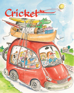 Road Trip Cricket Cover
