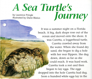 A Sea Turtle's Journey - Cricket Media In