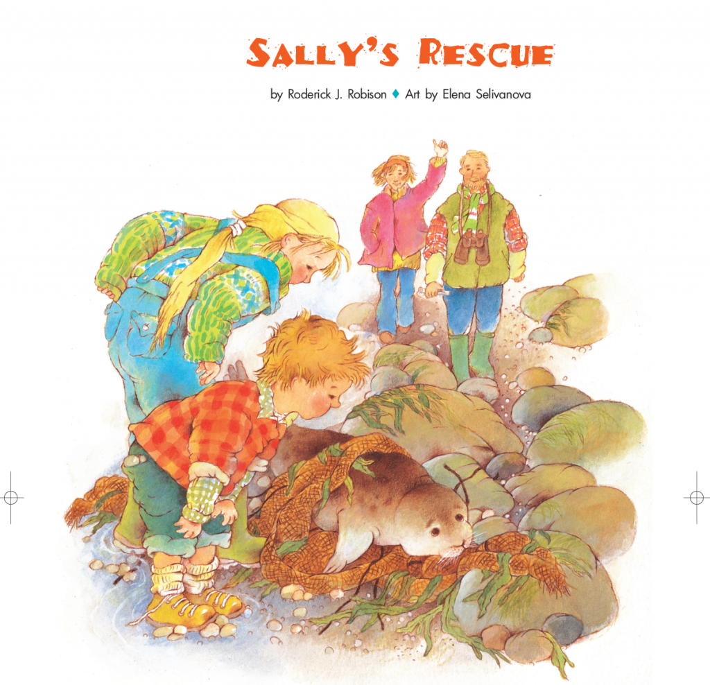 Sally's Rescue by Roderick Robison 
