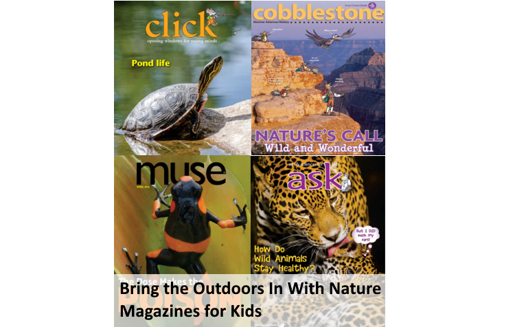 Nature Magazines for Kids Bring the Outdoors In