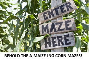 BEHOLD THE A-MAIZE-ING CORN MAZES!
