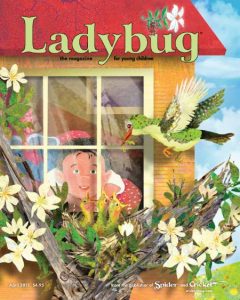 Ladybug Cover