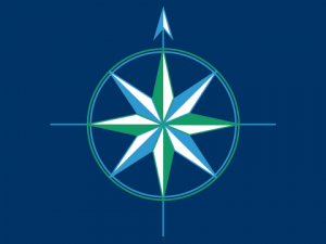 Charity navigator logo