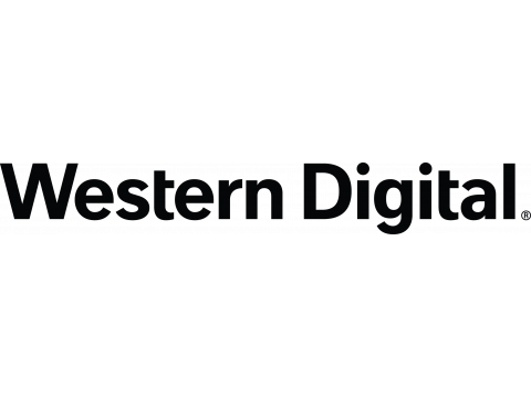 Western Digital corporate social responsibility with STEM e-mentoring