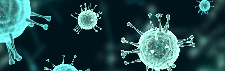 Coronavirus molecules