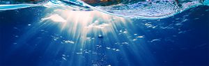 Sunlight shines through the surface of sea water
