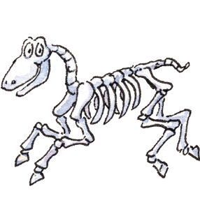 Bone Pony