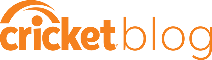 cricket-blog
